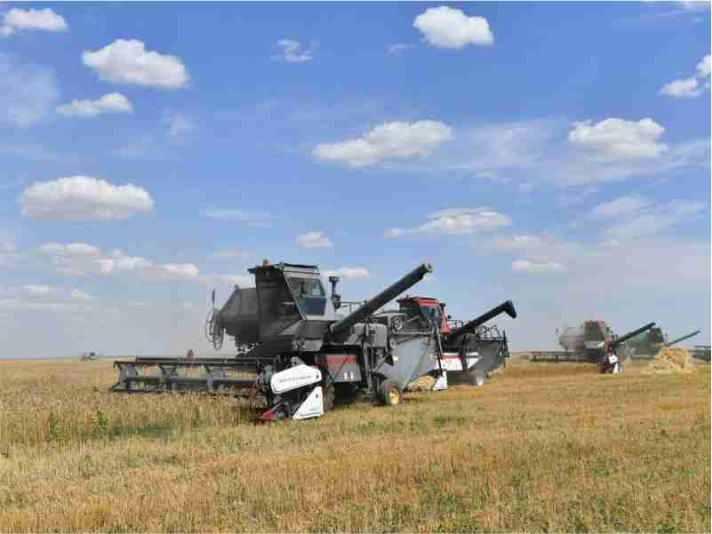 В Саратовской области собрано 2 миллиона тонн зерна.